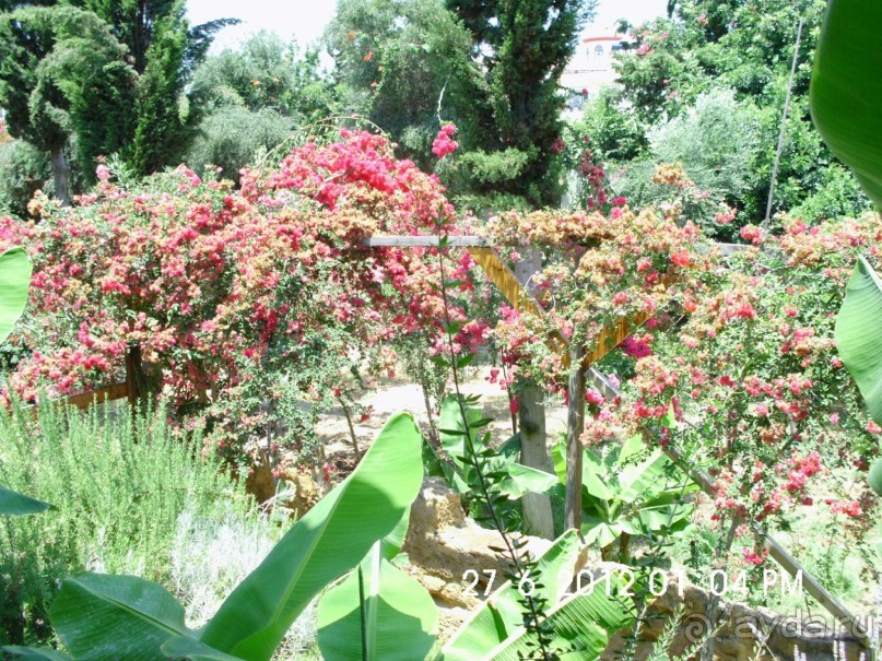 фото Sokha Angkor Hotel