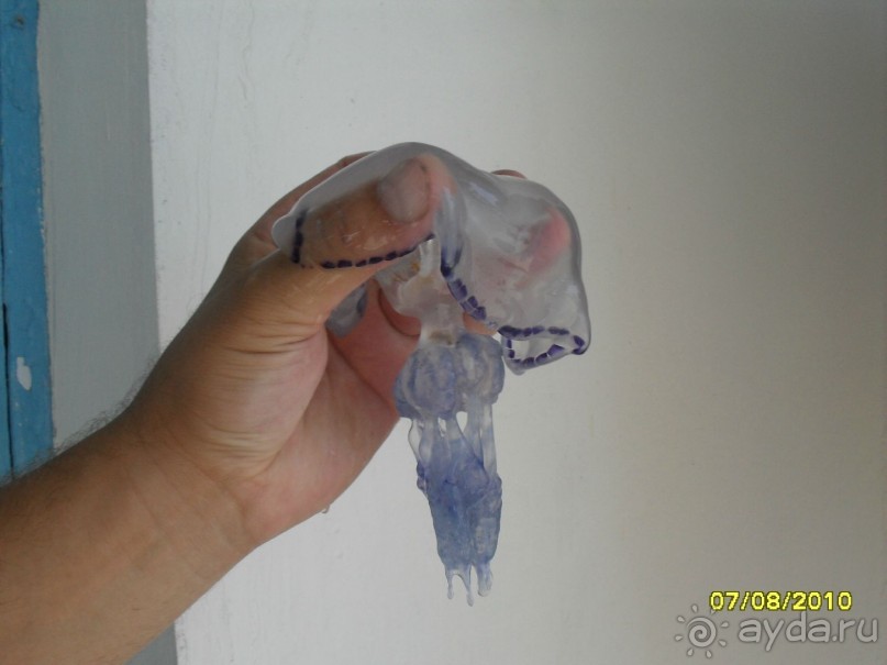 фото Millenij Aparthotel