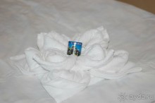 Лилия из полотенец в Отеле Лилия 4*