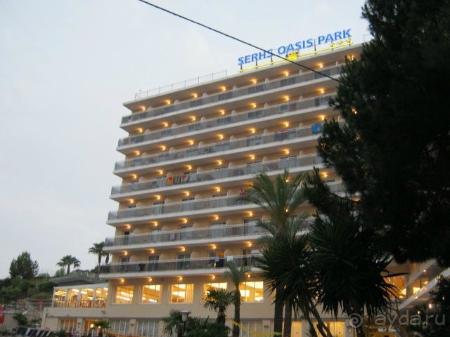 Оазис парк. Привет и спасибо Марии!