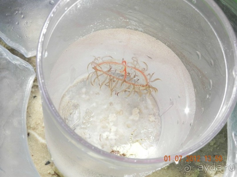 Воздержусь от повторного посещения...