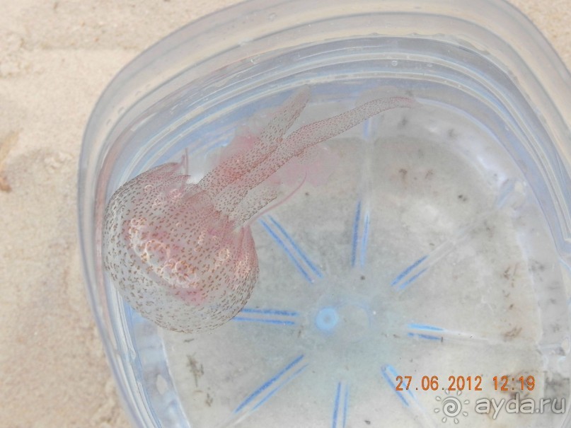 Воздержусь от повторного посещения...