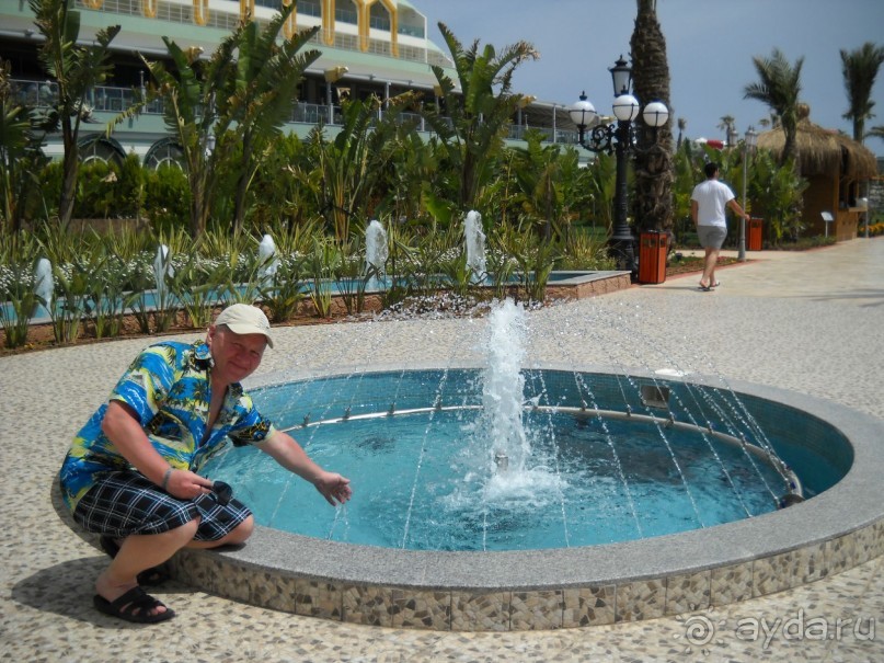 ДЕЛЬФИН ИМПЕРИАЛ