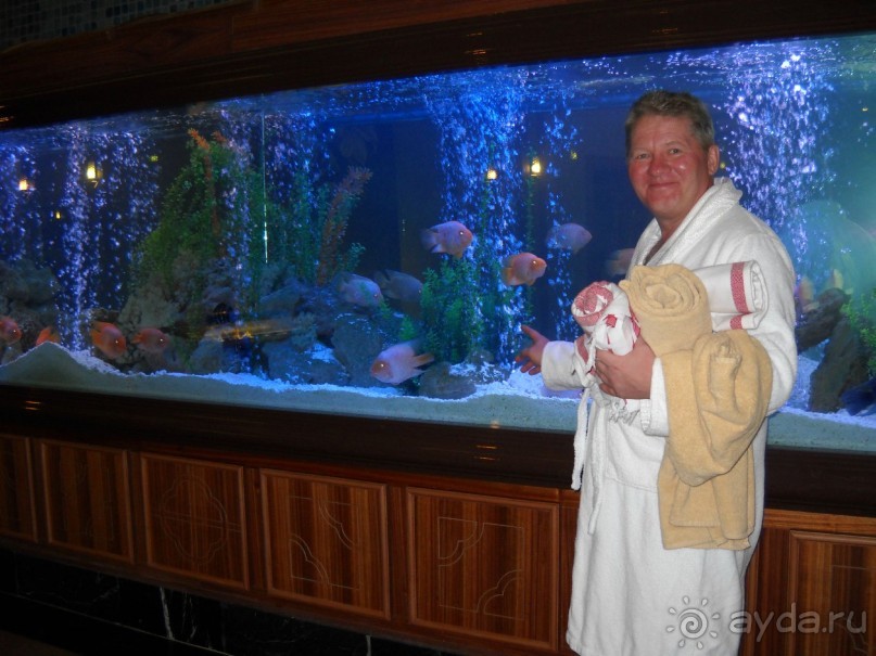 ДЕЛЬФИН ИМПЕРИАЛ