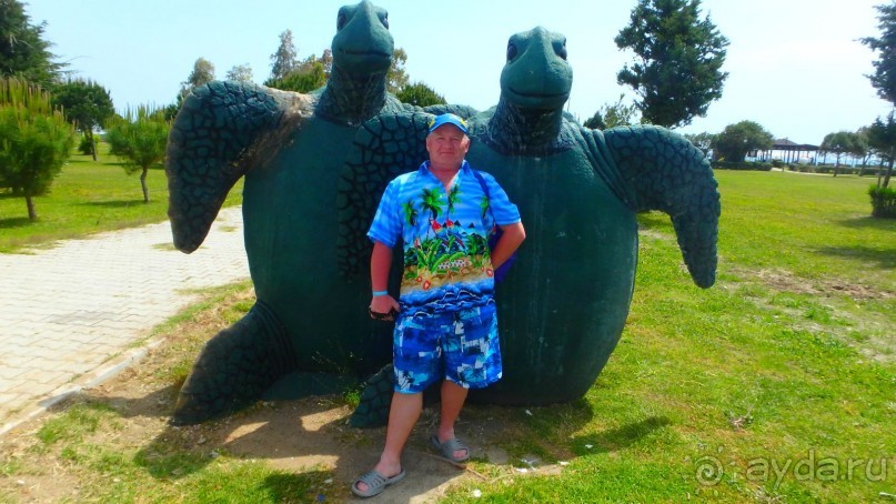 Наилучшее соотношение цена-качество!