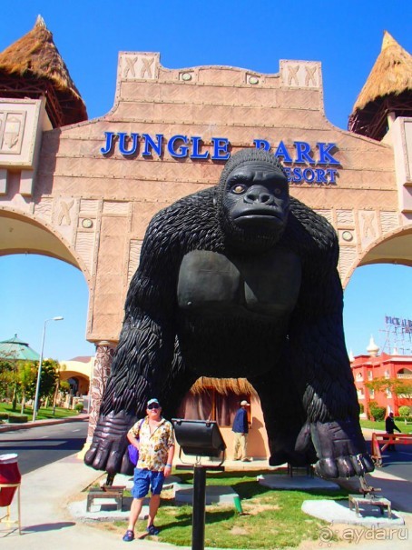 фото Radisson Blu Plaza (ex. Radisson SAS Plaza)