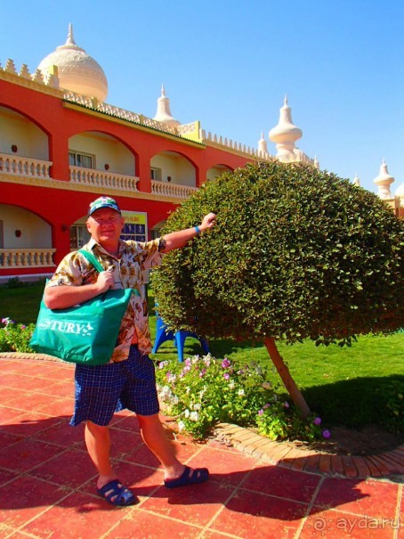 фото Radisson Blu Plaza (ex. Radisson SAS Plaza)