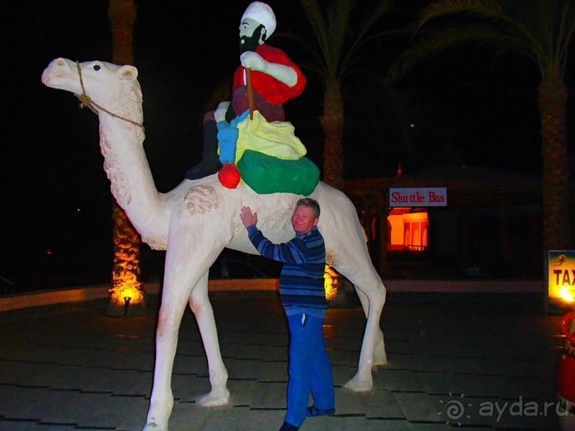 фото Radisson Blu Plaza (ex. Radisson SAS Plaza)