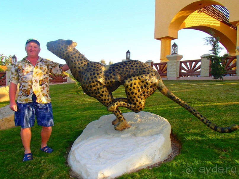 фото Radisson Blu Plaza (ex. Radisson SAS Plaza)