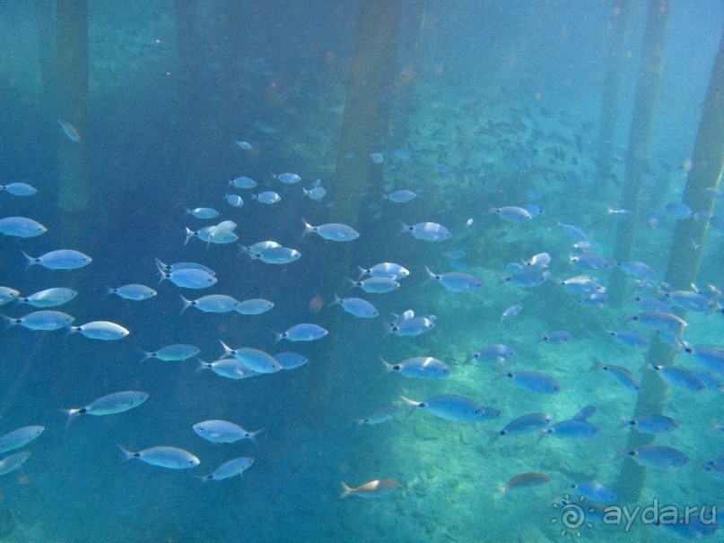 ОЧЕНЬ ПРИЯТНЫЙ ОТЕЛЬ