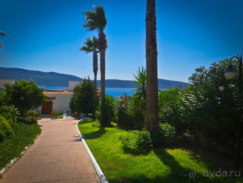 ОЧЕНЬ ПРИЯТНЫЙ ОТЕЛЬ