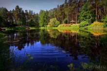 Рига, Юрмала. Интересные места Латвии: рододендроны, витая лестница, черепаха и дама в шляпе. 