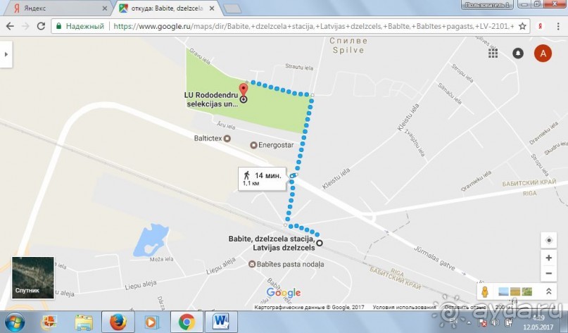 Рига, Юрмала. Интересные места Латвии: рододендроны, витая лестница, черепаха и дама в шляпе. 