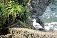 Моё путешествие на Искью 