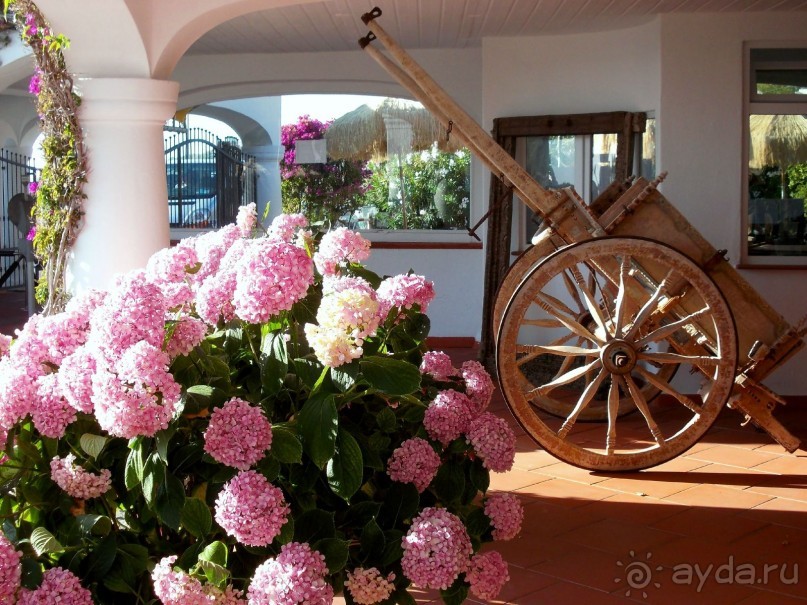 Моё путешествие на Искью 