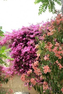 Моё путешествие на Искью 