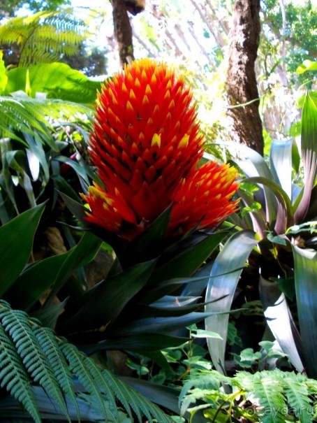 Моё путешествие на Искью 