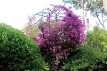 Моё путешествие на Искью 