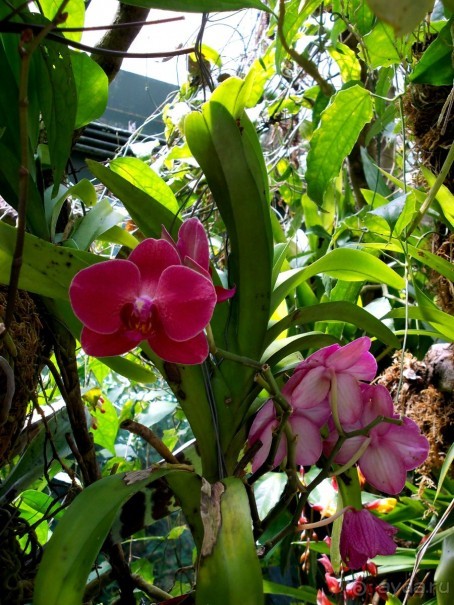 Моё путешествие на Искью 