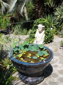 Моё путешествие на Искью 