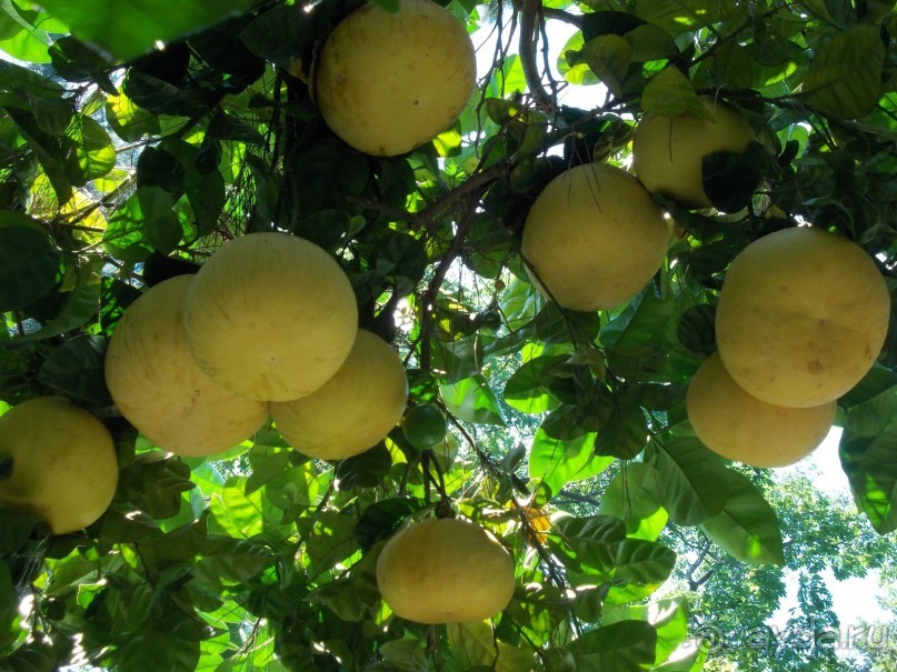 Моё путешествие на Искью 