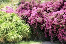 Моё путешествие на Искью 