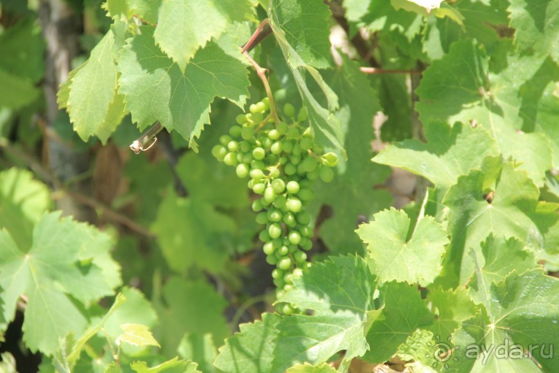 Моё путешествие на Искью 