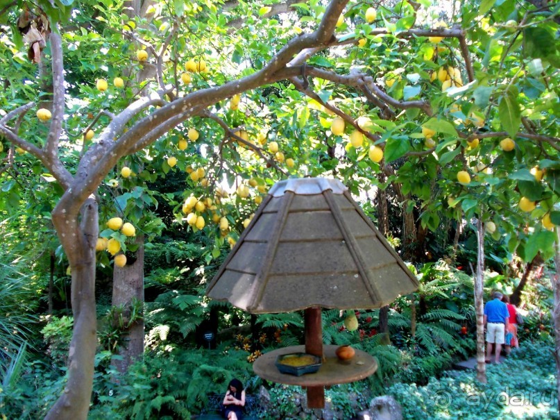 Моё путешествие на Искью 