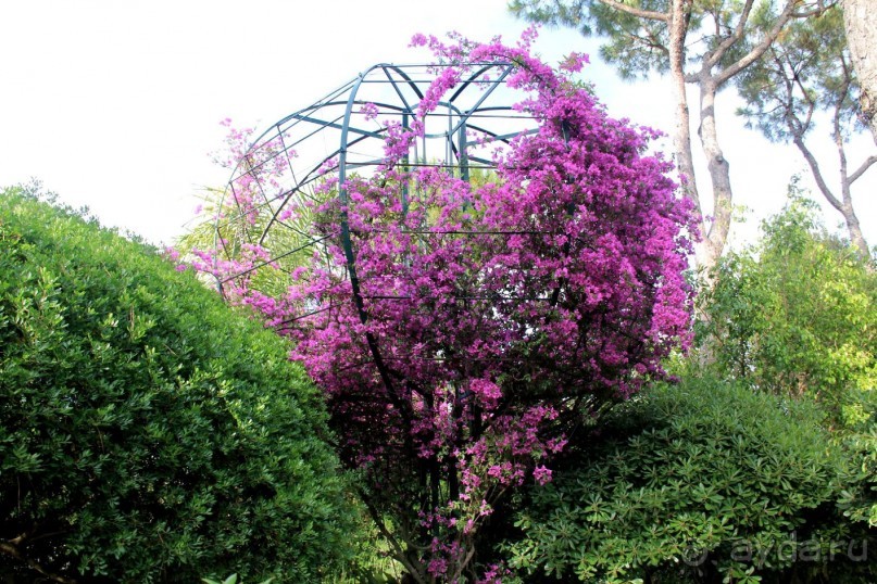 Моё путешествие на Искью 