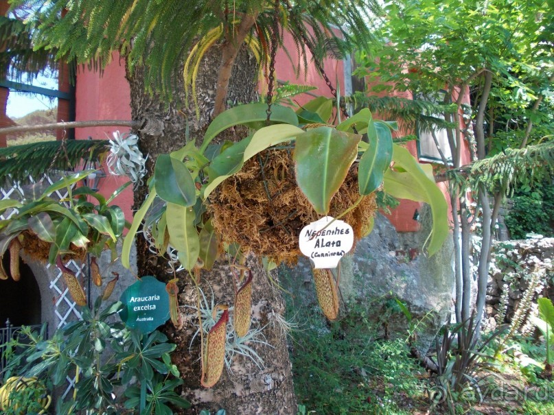 Моё путешествие на Искью 