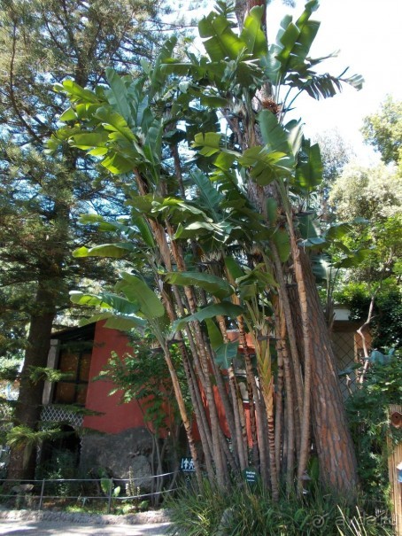 Моё путешествие на Искью 