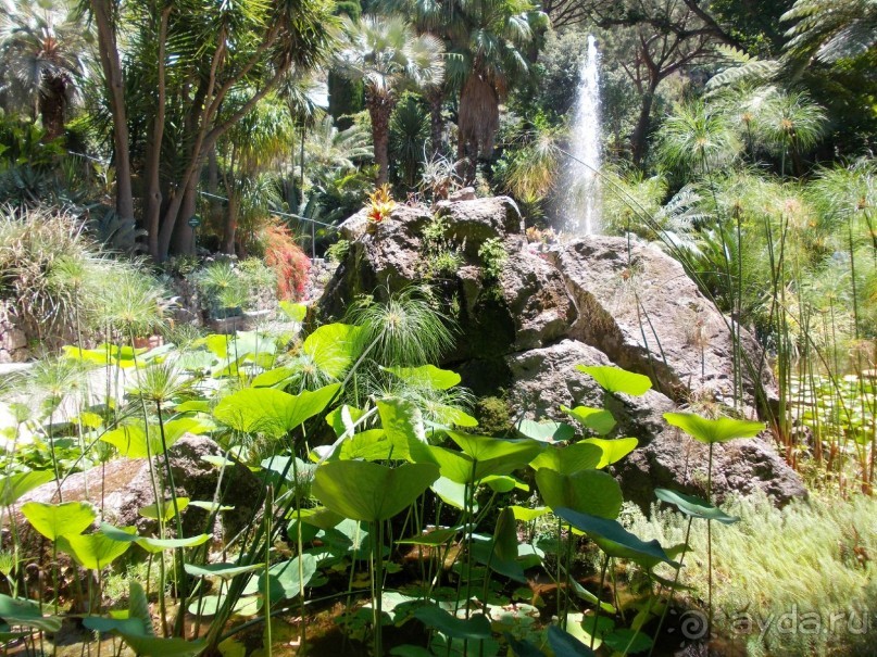 Моё путешествие на Искью 