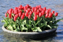 Государственный музей Амстердама - начало всех дорог по Голландии