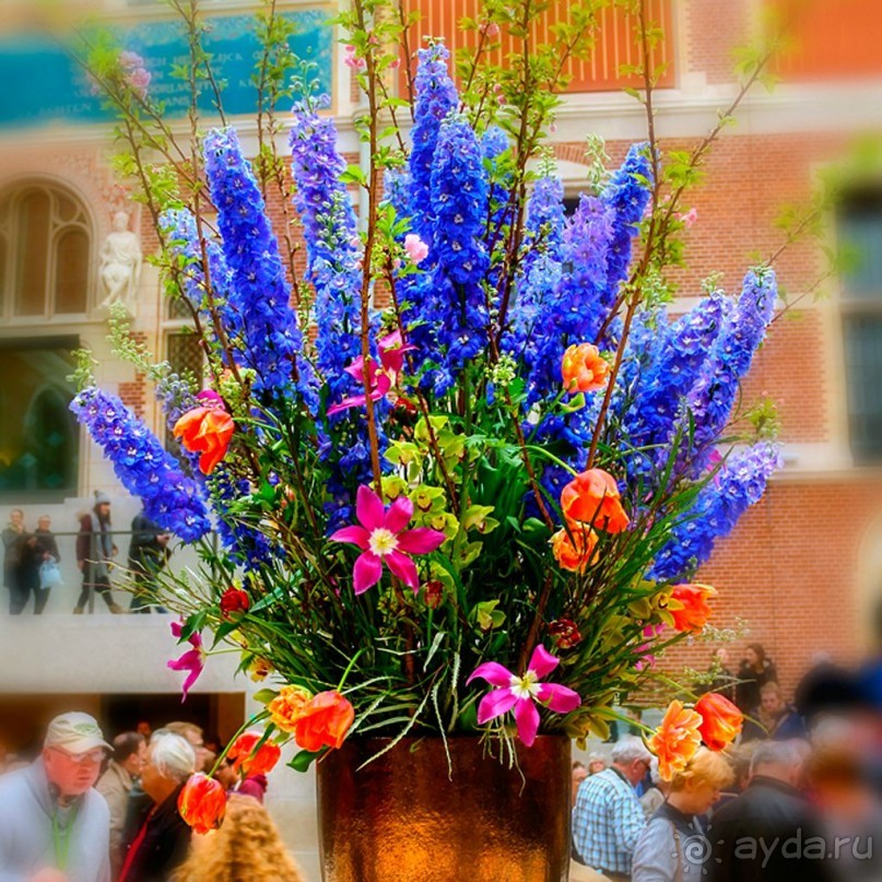 Государственный музей Амстердама - начало всех дорог по Голландии