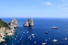 Фаральоны уже от садов Августа