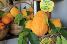 Гигантские лимоны