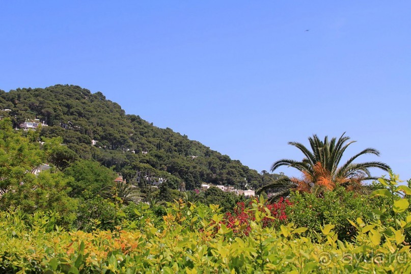 Самостоятельная поездка с острова Искья на остров Капри