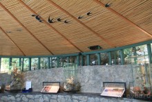 Вот мы и в Капри