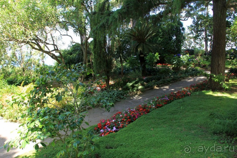 Вилла Сан Микеле