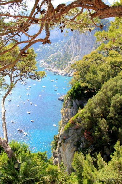 Самостоятельная поездка с острова Искья на остров Капри