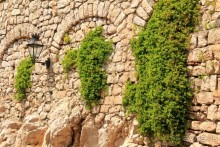 Самостоятельная поездка с острова Искья на остров Капри