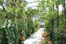 Дворик. Анакапри