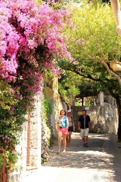 Самостоятельная поездка с острова Искья на остров Капри