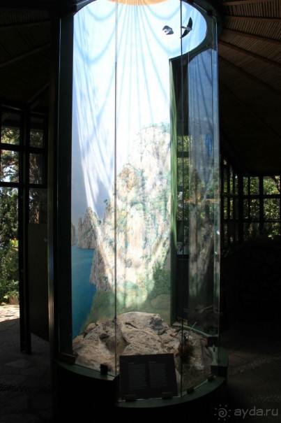 Инсталляция про птиц острова Капри, созданная Акселем Мунтом