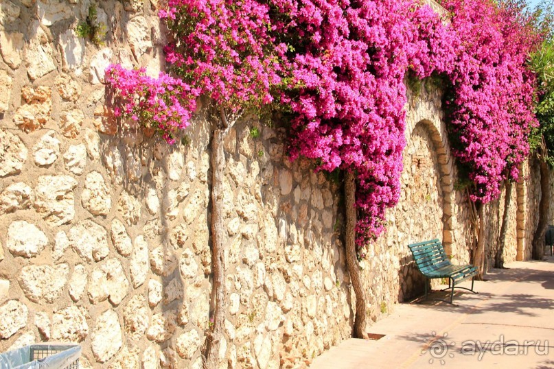 Самостоятельная поездка с острова Искья на остров Капри