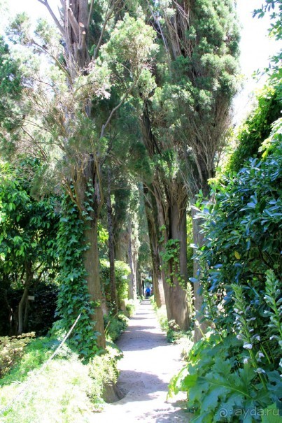 Вилла Сан Микеле