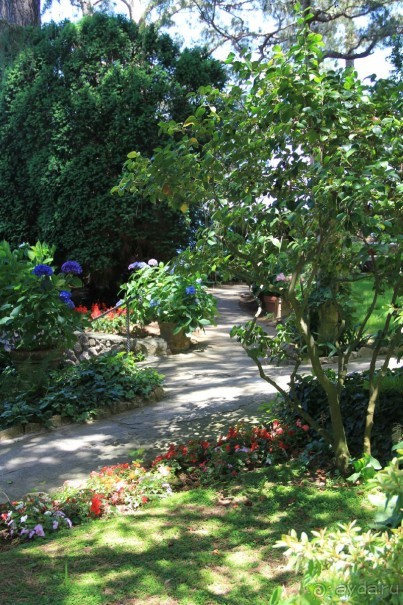 Вилла Сан Микеле