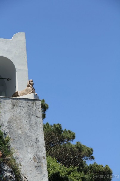 Сфинкс Виллы Сан Микеле 11 век