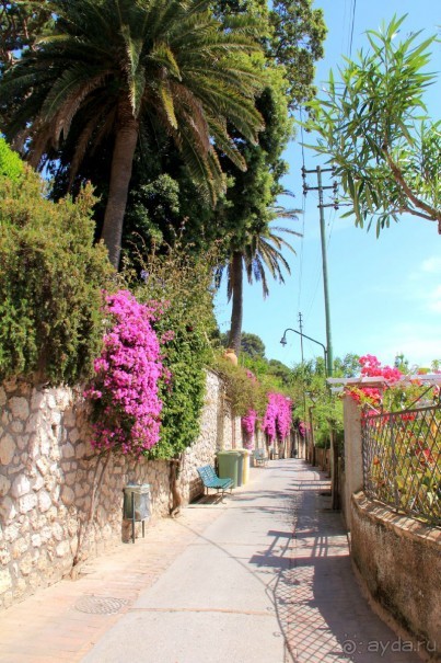 Самостоятельная поездка с острова Искья на остров Капри