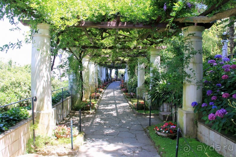 Вилла Сан Микеле